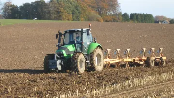 leviers agronomiques du désherbage du blé